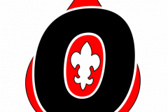 Oficjalne-logo-IG-3